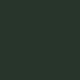 RAL6009 verde abete - lucido o opaco